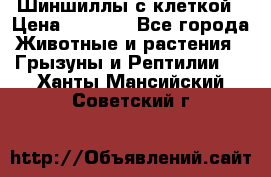 Шиншиллы с клеткой › Цена ­ 8 000 - Все города Животные и растения » Грызуны и Рептилии   . Ханты-Мансийский,Советский г.